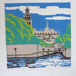 de bult van ketje 5kl lino