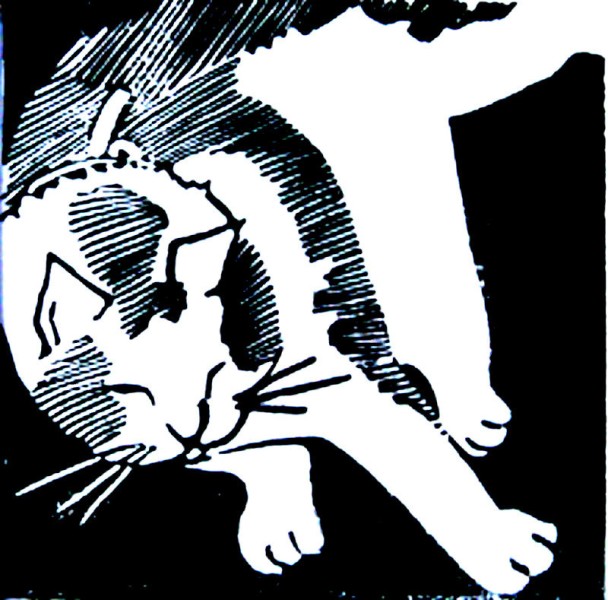 puk1 linodrukjpg puk1 linodrukjpg