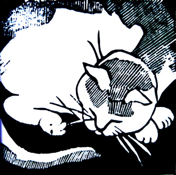 puk2 linodruk puk2 linodruk