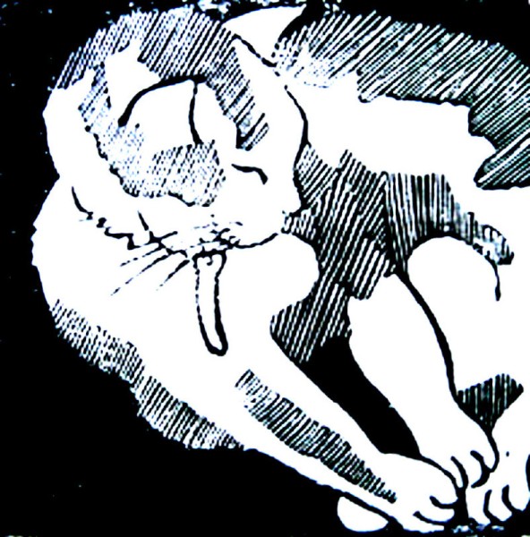 puk4 linodruk puk4 linodruk