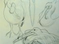tekening 11 22