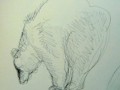 tekening 12 22