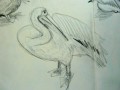 tekening 14 22