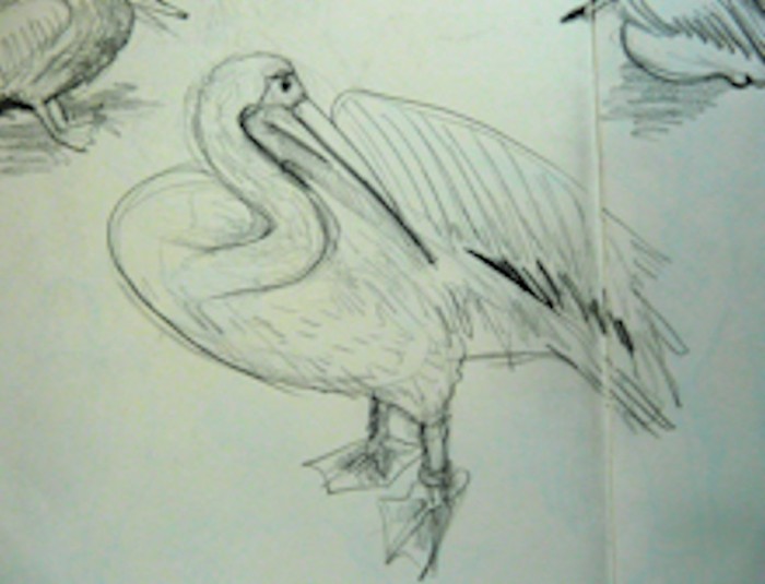 tekening 14 22 tekening 14 22