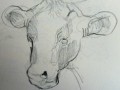 tekening 9 22